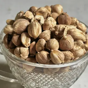 KAPULAGA PUTIH SUPER PREMIUM 100gr/kapool rempah pilihan bayak kegunaan