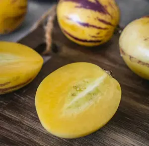 Benih Pepino Kuning 20 Butir Buah Oval Kuning Keemasan Solanum Muricatum Melon Kuning Manis dari Andes
