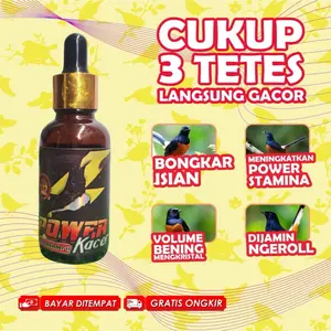 Power Kacer by Penggacor Seketika Vitamin Suplemen Burung Kacer
