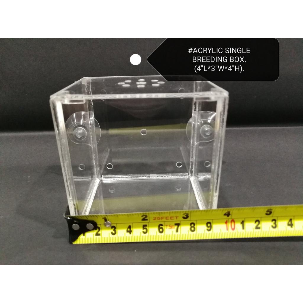 Acrylic Single Fish Breeding Box Aquarium Tank Ikan Akuarium