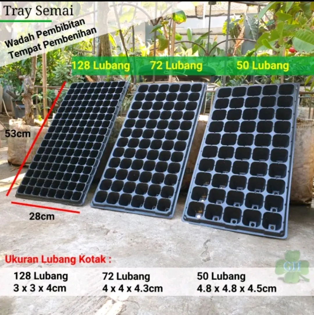 Tray semai, Pot Tray, Pot Bibit, Pot seedling 50/72/128 lubang Sayur Kotak