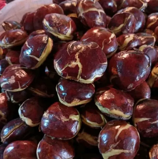 Timbangan isi jengkol 1kg segar dan fres Masakan Makanan Kering Kitchenware buah kering asam potong medan Snack Food 1