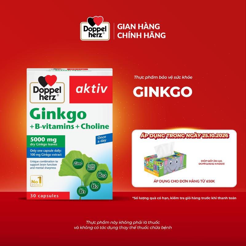 ID1 Thực phẩm bảo vệ sức khỏe Ginkgo