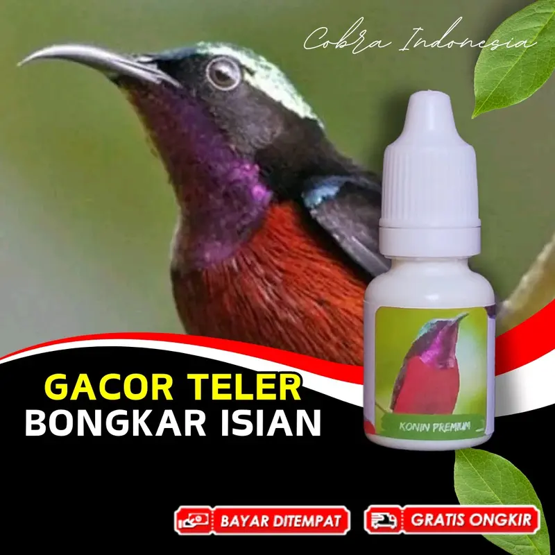 Vitamin Burung Konin Kolibri Ninja Gacor 0