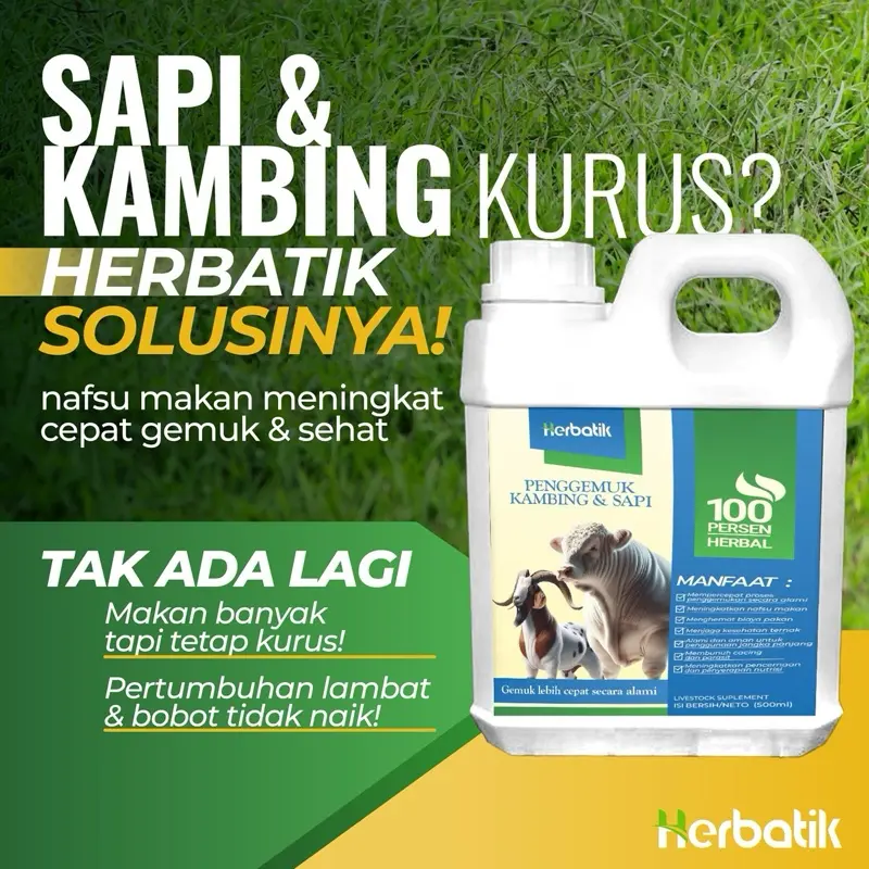 (1 Liter) Herbatik Pengemuk Sapi & Kambing - Bobot Naik Cepat, 100% Herbal Alami, Tanpa Efek Samping!