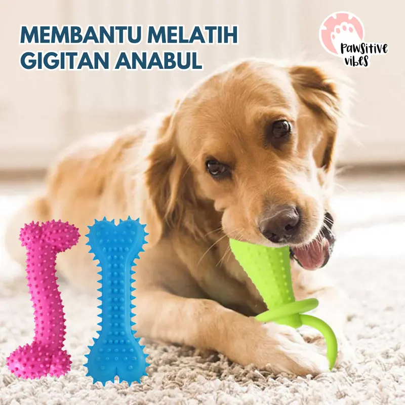 Mainan Gigitan Anjing Model Tulang Berduri Tahan Gigit - Pet Chew Rubber- Mainan Gigitan Kunyah Untuk Anjing dan Kucing - Mainan gigitan Karet Berduri Bergerigi Bahan TPR 3