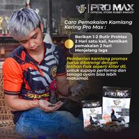 Gambar JAMU AYAM PRO MAX NAFAS AYAM JADI PANJANG AYAM MERAH FULL AGRESIF dari RP PRODUCT Kab. Bogor 4 Tokopedia