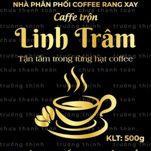 Linh Trâm 69