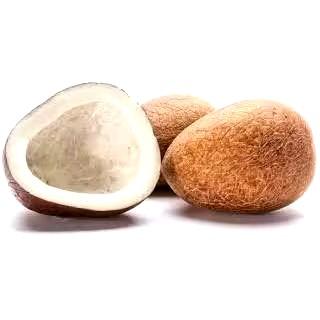 DRY COCONUT 50G (PAKISTANI COCONUT) - TikTok Shop Malaysia