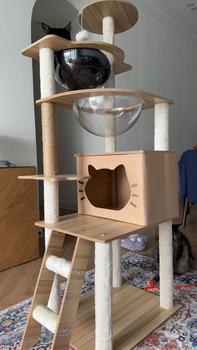 Product Review of EZPET Wooden Cat Tree Series Premium Sisal Cat Tree Scratcher 3 Levels Cat Scratcher Pets Kitten Scratching Post Board from a**a 0