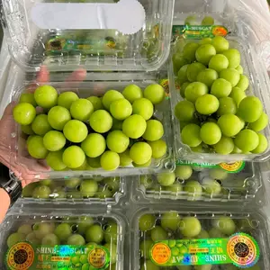 Anggur shine muscat 1 Dus 10 pack 5kg