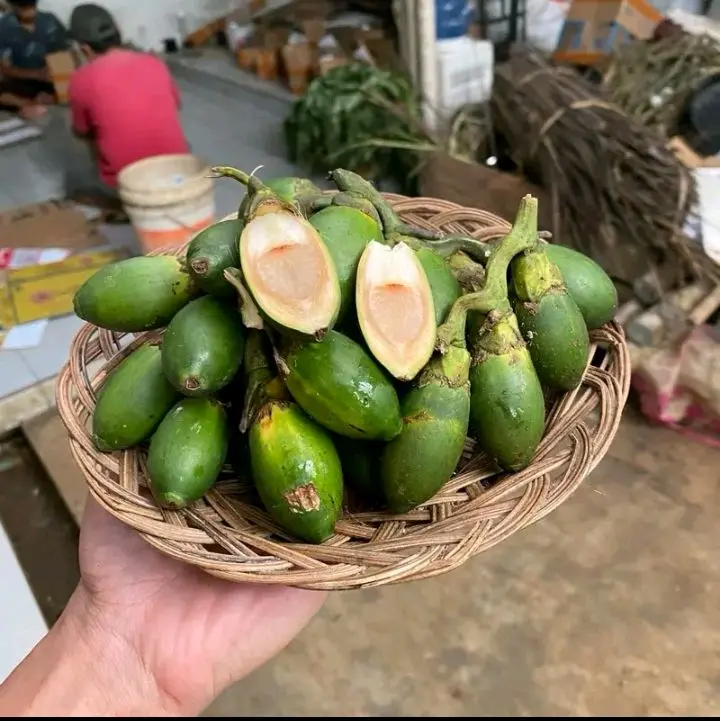 1 Kg Buah Pinang Muda Segar Hijau Isi Sekitar 25-40 Biji
