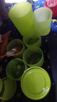 Product Review of CPM Toples Plastik Kedap Udara Set Lengkap Paket Toples Super Combo 10in1 Best Selling from i**a 2