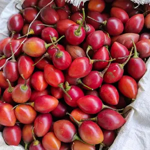 Terong belanda 500gram -rasa asem manis segar