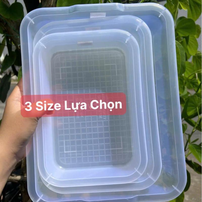   Combo 5  Khay nhựa đựng thạch khúc bạch phô mai tươi pudding - Tiệm Của Bee 