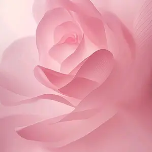 Alas Nails Art Latar Belakang Press On Nail Custom Kertas Dudukan Kuku Palsu Custom Kartu Ucapan Custom