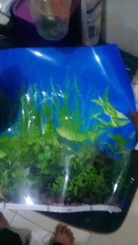 Product Review of Background aquarium MOTIF t30cm p50cm p100cm. t40.50cm.100cm t50cm.p50cm.100cm dekorasi from m** f**k 0