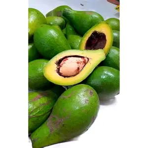 Alpukat mentega enak gurih punel 1kg