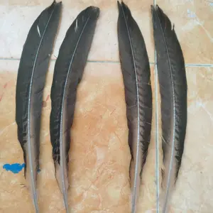 bulu untuk hiasan panjang 60cm