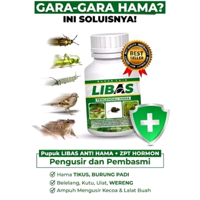 Pupuk Libas meningkatkan kemampuan untuk bertunas , bercabang, berbunga, menghasilkan buah 1