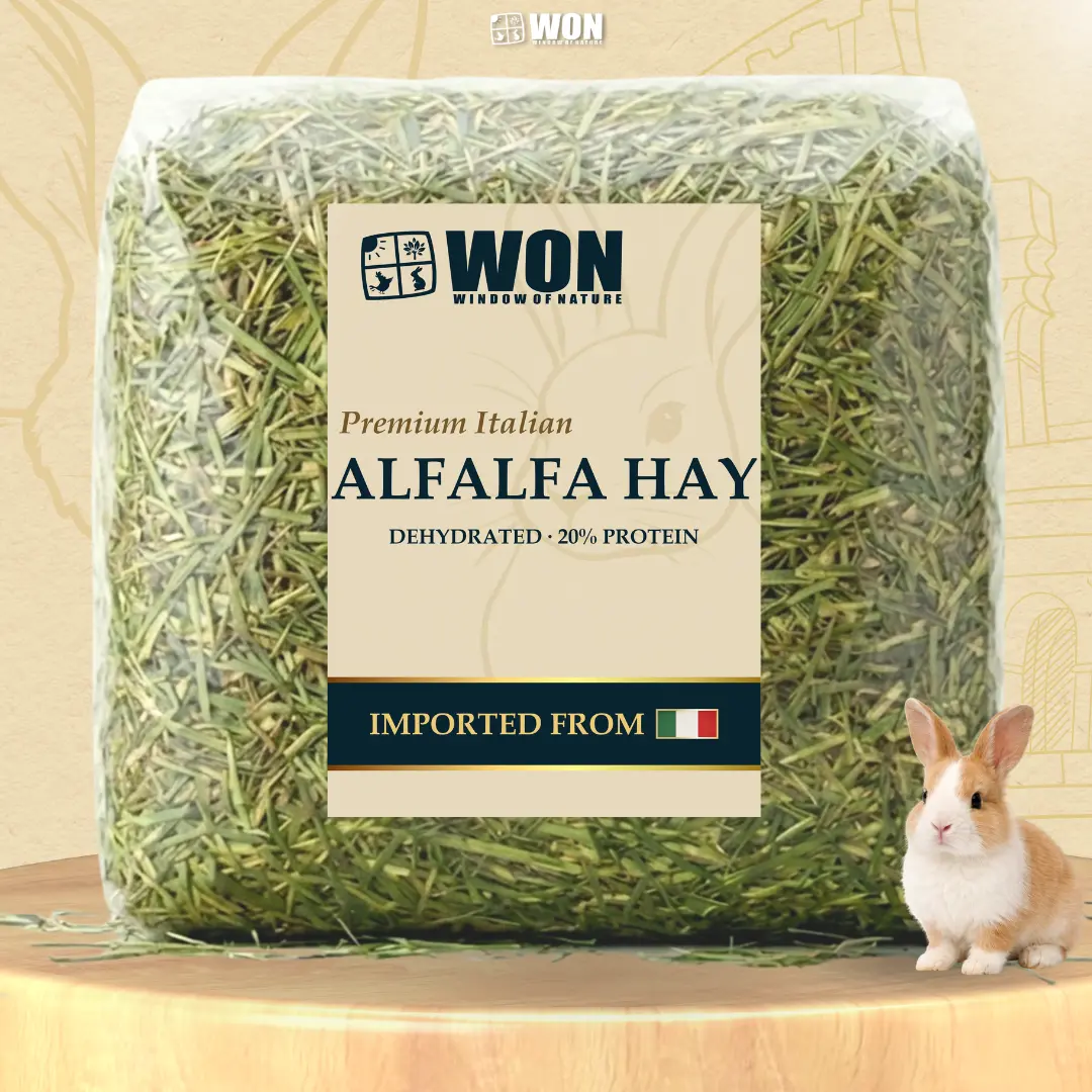 Rumput Kelinci Alfalfa Italia 1Kg | 500 gr WON Feed | Makanan Kelinci, Hay Alfalfa Italia Premium, Pakan Kelinci