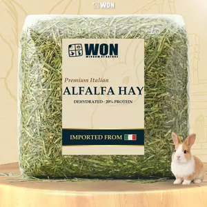 Rumput Kelinci Alfalfa Italia 1Kg | 500 gr WON Feed | Makanan Kelinci, Hay Alfalfa Italia Premium, Pakan Kelinci