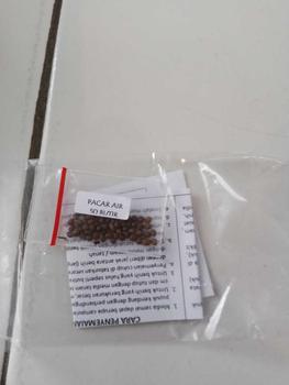 Product Review of biji benih tanaman bunga pacar air tumpuk mix warna siap semai from m**a k**r 0