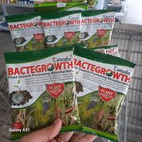 Gambar Eureeka Bactergrowth 100gr - Rizhobacteria Pemacu Pertumbuhan Penyedia Nutrisi dan Pelindung Tanaman dari Serangan Penyakit dari Baroya Tani Kab. Kediri 5 Tokopedia