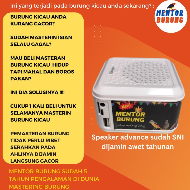 [COD] Mp3 Burung Speaker Khusus Pemasteran Burung Lomba Paling Gacor Murai Pleci Love Bird Falk Kenari Parkit Jalak Cucak Rowo Bass Jam Black 1