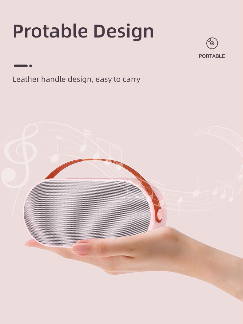 Product Introduction of Mini Karaoke Wireless Bluetooth Speakers with Dual Microphone LED light Portable 3D Stereo Amplifier Party KTV Audio Device P6 15
