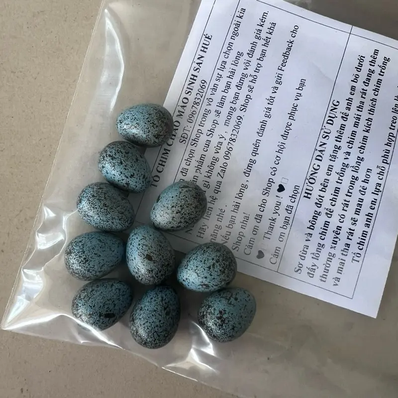 Trứng ziả ( choè lữa - choè than - chào  mào ) 0