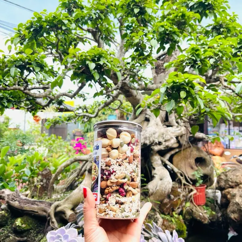 Granola có yến mạch  ( hũ 500g )( có trái cây sấy ) 2