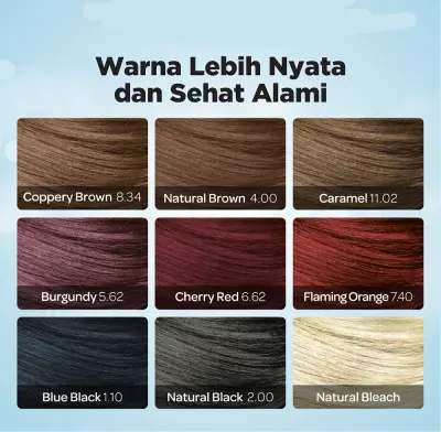 NYU HENNA SHAMPO 1BOX ISI 4 PCS NYU Henna Shampoo Hair Colour Color / Shampo Pewarna Rambut / Semir Cat Rambut Per Sachet 20ml permanen 3