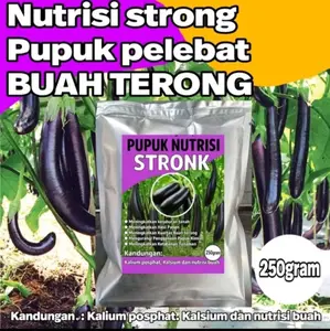 pupuk nutrisi stronk pelebat terong