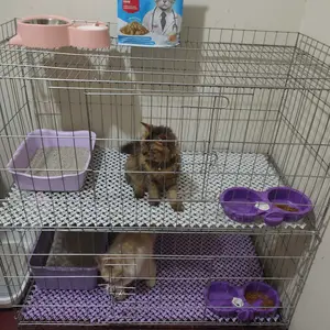 Kandang jumbo P100 L50 T50