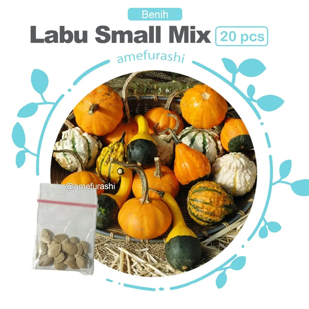 Labu small mix 20 Biji