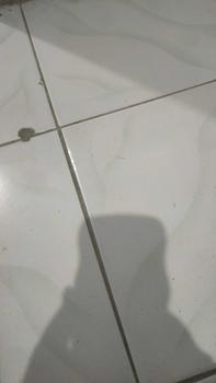 Product Review of Sandal Slop Anak Perempuan Ban Dua Asesoris Kancing Sendal Anak Cewe Slip On Tebal Casual Trendy Fashion from A**o 0