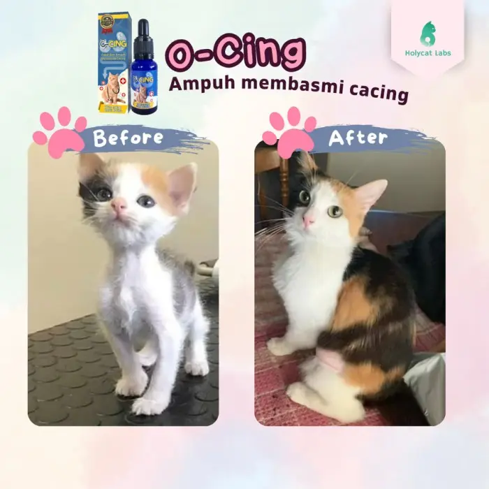 O-Cing 20mL -  Cacing Kucing Ampuh Membasmi Cacing 3