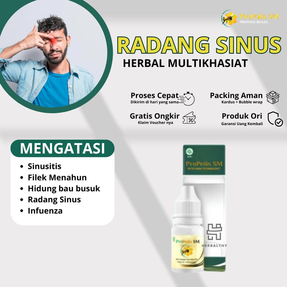 Sinus Sinusitis Rinitis Polip Flu Menahun Pilek Hidung Bau Busuk Berlendir Radang Sinus Akut Kronis Manjur Alergi Herbal Flu Pilek Menahun Bersin Ingusan Hidung Meler ProPolis SM - ProPolis SM