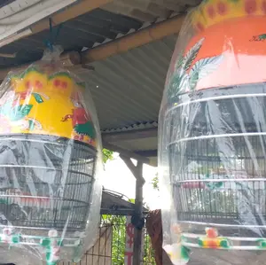 kandang barong kutut,kandang mentahan kotak,dongdang mentahan merpati,burung merpati/dara ,burung kicau ,pakan ayam ,pakan burung DLL.