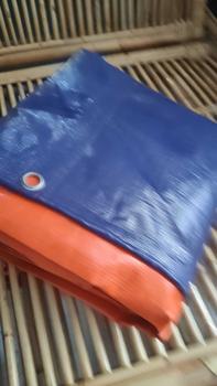 Product Review of kolam terpal ukuran 1x1x.t 50cm from L** 7** 0