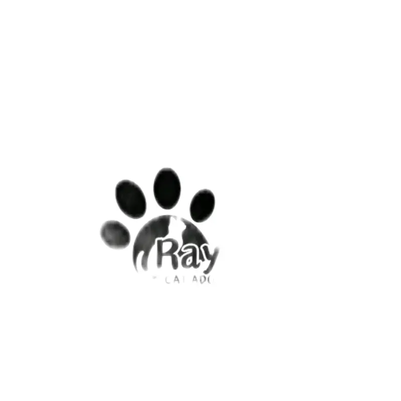 Top Up Ray Rai Semua Produk Nikmati Belanja Anda 4