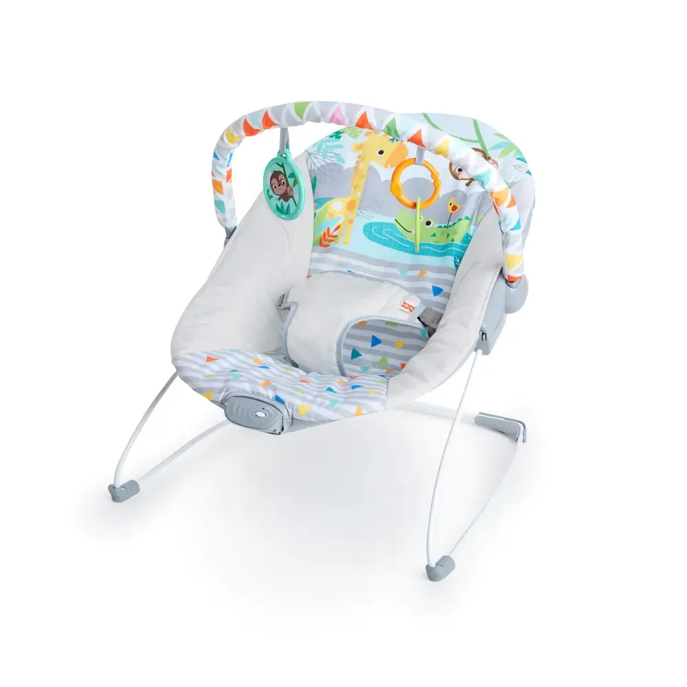 Bright Starts Safari Fun Vibrating Bouncer with Toy Bar