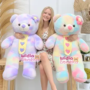 Boneka Teddy Bear Rainbow XL 70cm Variasi Dasi Bordir Dan Bunga Lucu lembut
