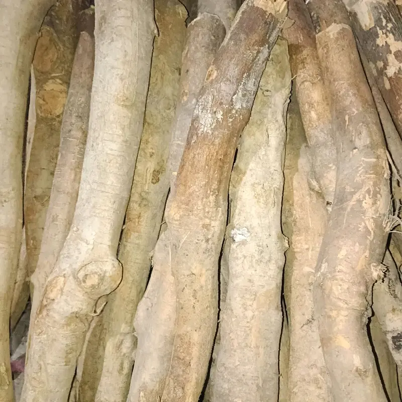 asli dari akar pasak bumi alami 1kg 1