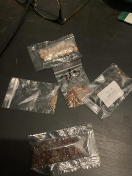Product Review of Flower seeds Portulaca Sunflower Lotus Eggplant Tomatoes Pyrethrum Zinnia Dahlia Vinca Celosia Plumosa Cosmos Asparagus Fern Climbing Rose Phalaenopsis Orchid Petunia Impatiens Marigold Sakura Daisy Jasmine Magnolia Peony Nasturtium Bellflower Camellia from A** 1