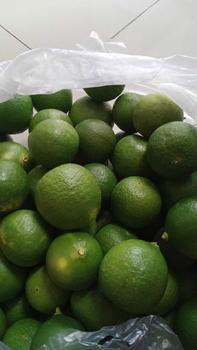 Product Review of Jeruk Nipis 1 KG Isi 22 Buah Untuk Perasan Wedang Soto Gultik Gulai Kecut from o** 0