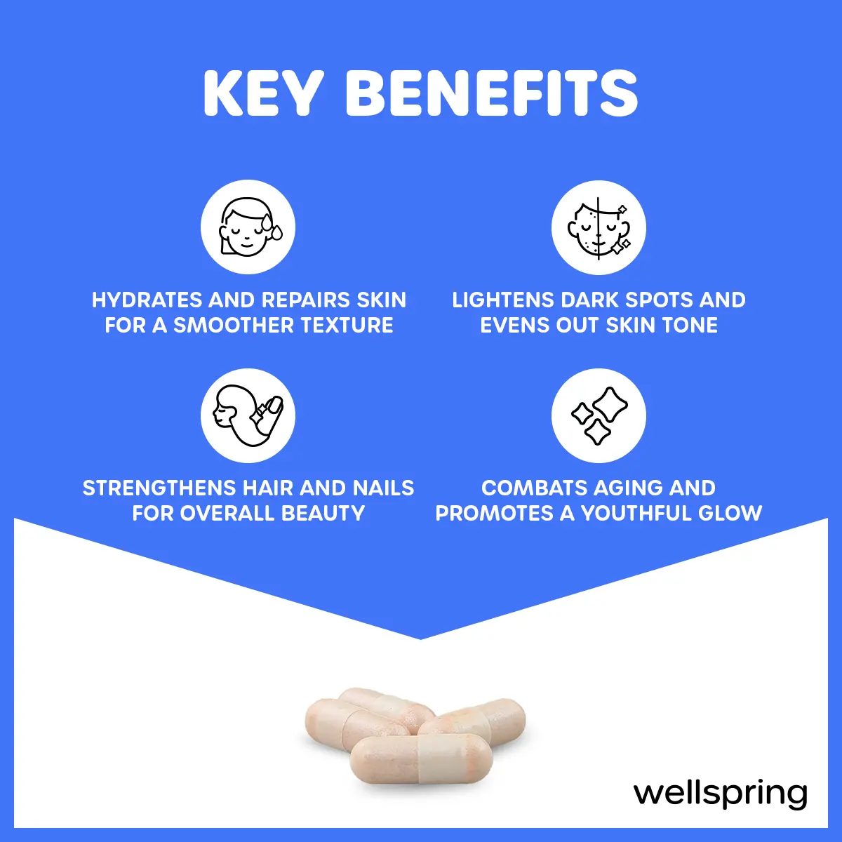 wellspring glutathione Wellspring Active Beauty Glutathione with Hydrolyzed Collagen Capsules 30s,  Gluta Collagen, For Glowing Skin, Whitening, Reduce Dark Spots and  Pigmentation, Improve Skin Texture, Healthy skin and Immunity Boost