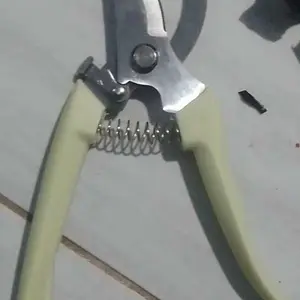 Gunting Dahan Potong Ranting mini Pruning Scissors Shears mata pisau tajam pemetik buah