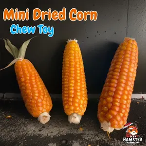 Mini Dried Corn Chew Toy / Jagung utuh hamster / gigitan hamster